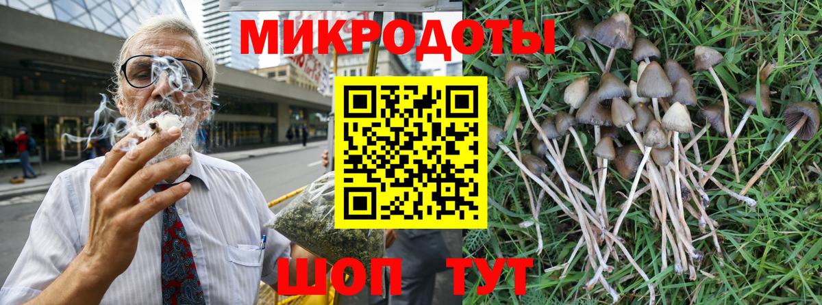 Галлюциногенные грибы Cubensis  Брянск 