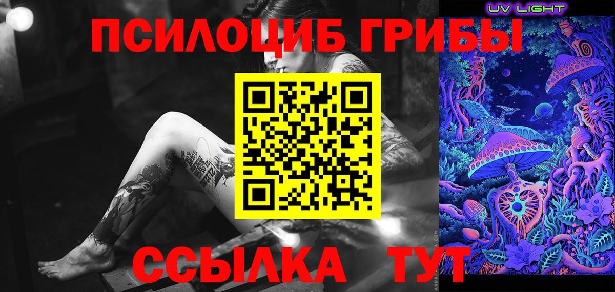 Псилоцибиновые грибы мицелий Брянск