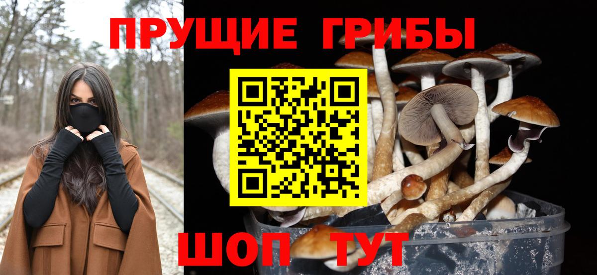 Псилоцибиновые грибы MAGIC MUSHROOMS Брянск